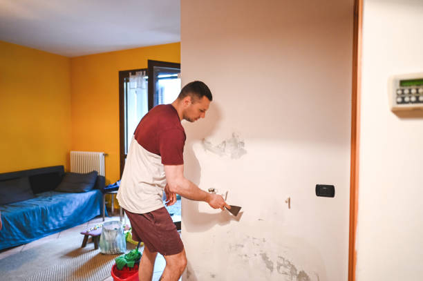 Best DIY Mold Remediation Support Services in Palmhurst, TX